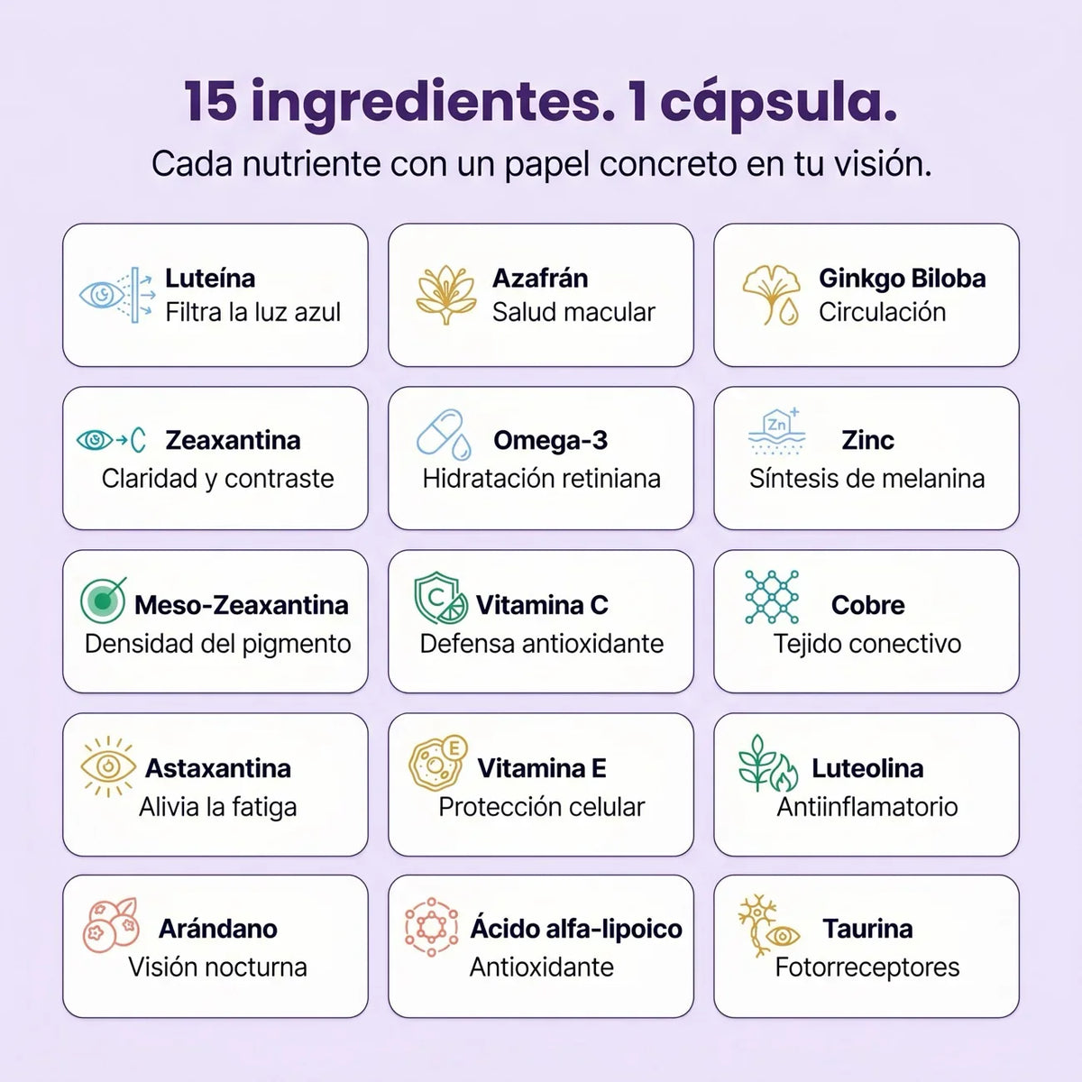 Visión Avanzada - Mácula 15 en 1